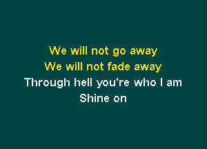 We will not go away
We will not fade away

Through hell you're who I am
Shine on