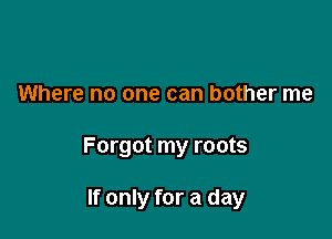 Where no one can bother me

Forgot my roots

If only for a day