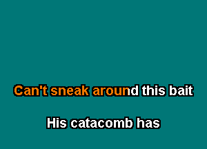 Can't sneak around this bait

His catacomb has
