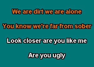 We are dirt we are alone
You know we're far from sober

Look closer are you like me

Are you ugly