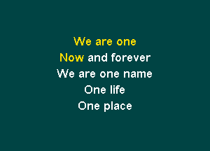We are one
Now and forever
We are one name

One life
One place