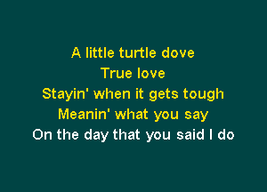 A little turtle dove
True love
Stayin' when it gets tough

Meanin' what you say
On the day that you said I do
