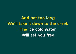 And not too long
We'll take it down to the creek

The ice cold water
Will set you free