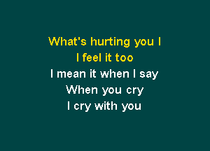 What's hurting you I
I feel it too
I mean it when I say

When you cry
I cry with you