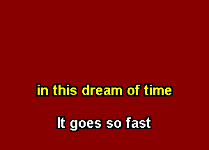 in this dream of time

It goes so fast