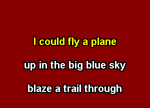 I could fly a plane

up in the big blue sky

blaze a trail through