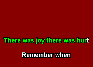 There was joy there was hurt

Remember when