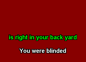 is right in your back yard

You were blinded