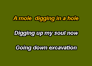 A mole digging in a hole

Digging up my soul now

Going down excavation