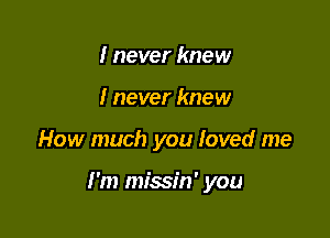 I never knew
I never knew

How much you loved me

I'm missin' you