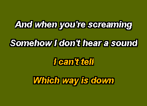 And when you're screaming

Somehow I don't hear a sound
I can't tell

Which way is down