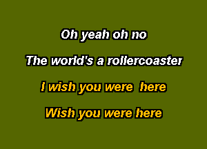 Oh yeah oh no

The worid's a rollercoaster

I wish you were here

Wish you were here