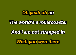 Oh yeah oh no

The worid's a rollercoaster

And I am not strapped in

Wish you were here