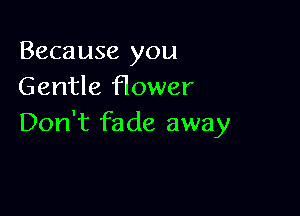 Because you
Gentle flower

Don't fade away