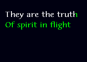 They are the truth
Of spirit in flight
