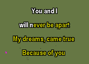 You and I
will never be apaf

My dreams, came true

Because of you