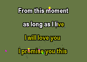 From this nr'ioment
as long as I live

I will lave you

I prbmisa you this