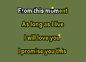 From this meent

As long as Hive

I will love you'1

I promise you this