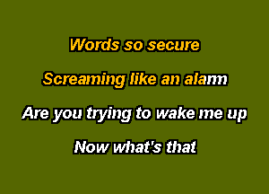 Words so secure

Screaming like an alarm

Are you trying to wake me up

Now what's that