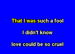 That I was such a fool

I didn't know

love could be so cruel