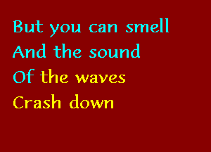 But you can smell
And the sound
Of the waves

Crash down