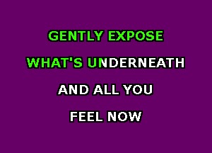 GENTLY EXPOSE

WHAT'S UNDERNEATH

AND ALL YOU
FEEL NOW