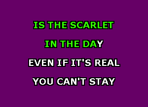 IS THE SCARLET
IN THE DAY

EVEN IF IT'S REAL

YOU CAN'T STAY