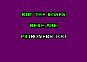 BUT THE ROSES

HERE ARE

PRISON ERS TOO