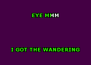 EYE MMM

I GOT THE WANDERING