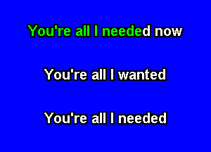 You're all I needed now

You're all I wanted

You're all I needed