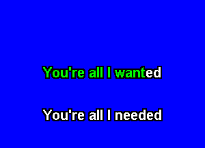 You're all I wanted

You're all I needed