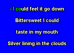 - I could feel it go down

Bittersweet I could
taste in my mouth

Silver lining in the clouds