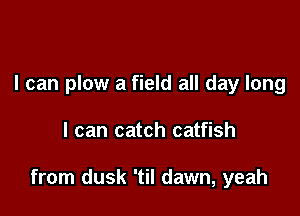I can plow a field all day long

I can catch catfish

from dusk 'til dawn, yeah