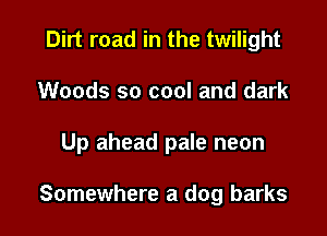 Dirt road in the twilight
Woods so cool and dark

Up ahead pale neon

Somewhere a dog barks