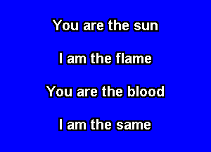 You are the sun

I am the flame

You are the blood

I am the same