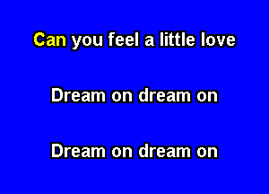 Can you feel a little love

Dream on dream on

Dream on dream on