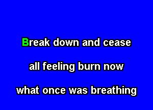 Break down and cease

all feeling burn now

what once was breathing