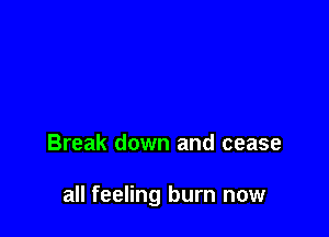 Break down and cease

all feeling burn now