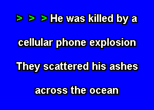 za p He was killed by a

cellular phone explosion

They scattered his ashes

across the ocean