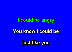 I could be angry

You know I could be

just like you