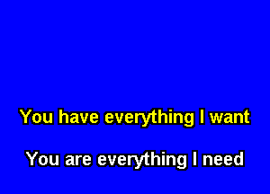 You have everything I want

You are everything I need