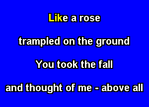 Like a rose

trampled on the ground

You took the fall

and thought of me - above all