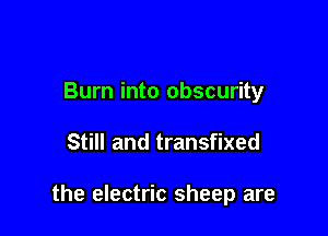 Burn into obscurity

Still and transfixed

the electric sheep are