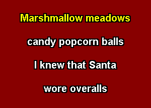 Marshmallow meadows

candy popcorn balls

I knew that Santa

wore overalls