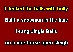 I decked the halls with holly
Built a snowman in the lane
I sang Jingle Bells

on a one-horse open sleigh