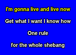 I'm gonna live and live now

Get what I want I know how
One rule

for the whole shebang