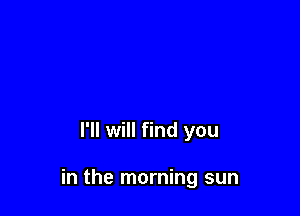 I'll will find you

in the morning sun