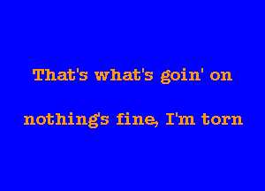 That's what's goin' on

nothings fine, I'm torn