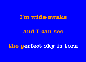 I'm wideawake
and I can see

the perfect sky is torn