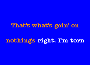 That's what's goin' on

nothings right, I'm torn